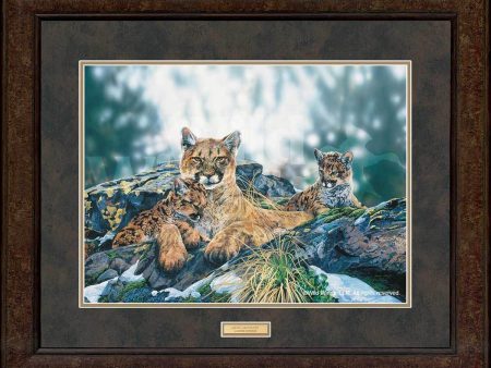 Quiet Moments—Mountain Lions - GNA Premium Print Online Sale