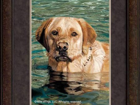 On the Job—Yellow Lab - GNA Premium Print Online Hot Sale