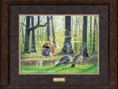 After the Rain—Turkeys - GNA Premium Print Online Sale