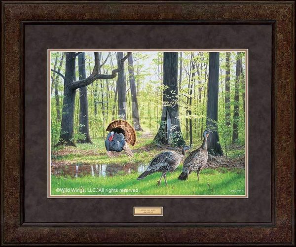 After the Rain—Turkeys - GNA Premium Print Online Sale