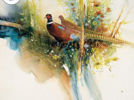 The Sentinal—Pheasants - 22  x 28  Original Gouache Painting Supply