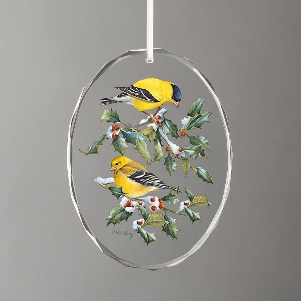 Winter Birds - Goldfinches Cheap