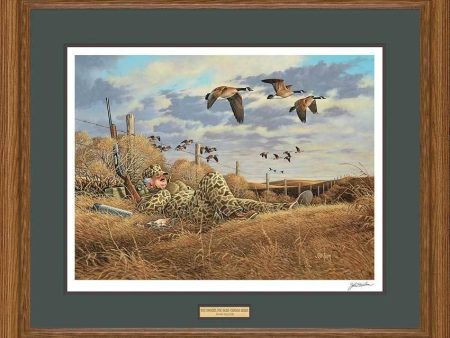 You Snooze, You Lose - Canada Geese - Signed Print Online Hot Sale