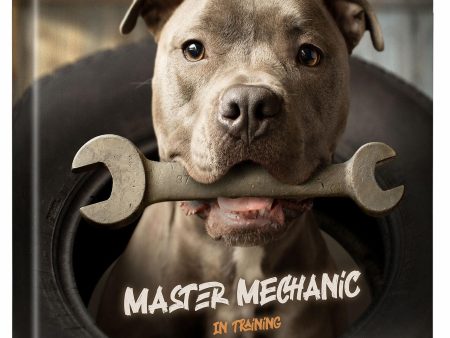 Wrench—Pitbull Terrier Cheap