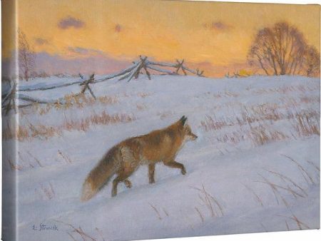 Winter Evening—Fox Discount