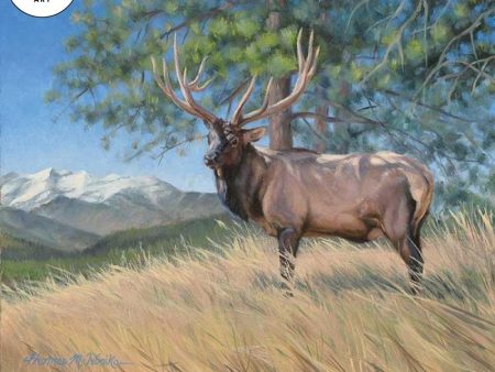 Elk Study Online Sale