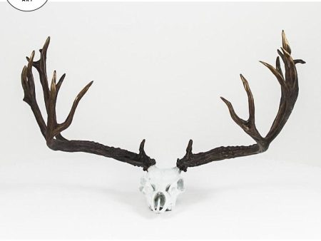 Mule Deer Non—Typical Skull Discount