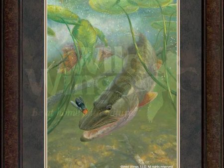 In the Thick of It—Muskie - GNA Premium Print Sale