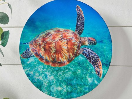 Shimmering Sea Turtle Supply