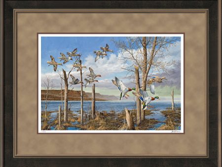 Wild Wings on the Upper Mississippi - Limited Edition Paper Online Hot Sale