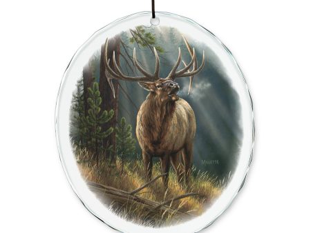 Calling all Challengers—Elk Online