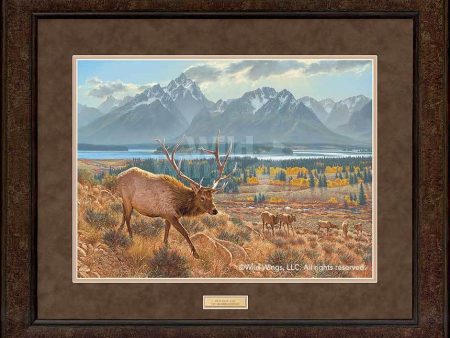 Old Sage—Elk - GNA Premium Print Online now