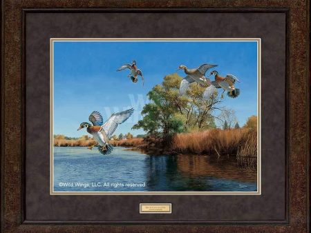 The Seton Channel—Wood Ducks - GNA Premium Print Online Hot Sale