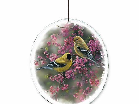 Goldfinches and Redbud Supply