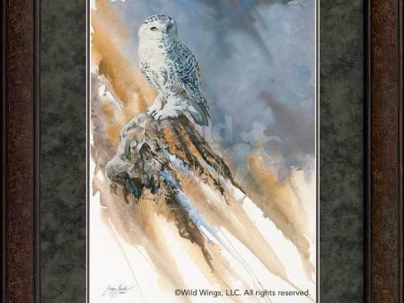 Just Blew In—Snowy Owl - GNA Premium Print Fashion