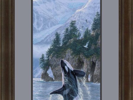 Vertical Rise—Orca - Limited Edition Paper For Discount