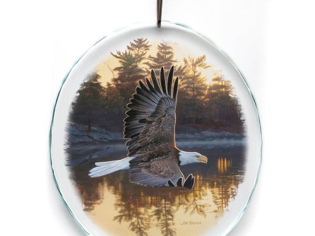 Gone Fishing - Bald Eagle For Cheap