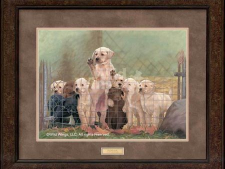 Pick Me—Lab Puppies - GNA Premium Print Online Hot Sale