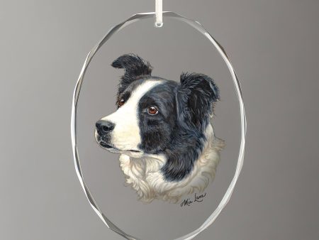 Border Collie Online now