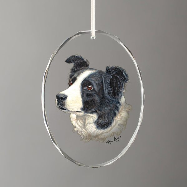 Border Collie Online now