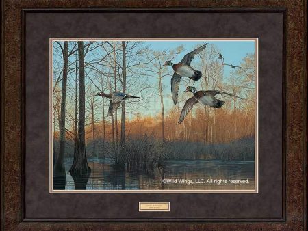 Early Morning—Wood Ducks - GNA Premium Print Hot on Sale