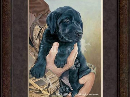 Right Choice—Black Lab - GNA Premium Print Discount