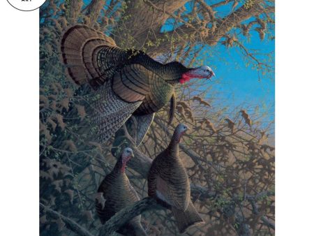 *Original* Thunder Valley—First Gobble by Michael Sieve 24  x 18  Online Hot Sale