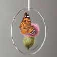 Painted Lady Butterfly Online