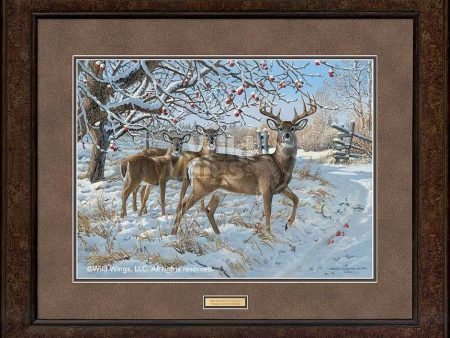 November Snowfall—Whitetail - GNA Premium Print on Sale