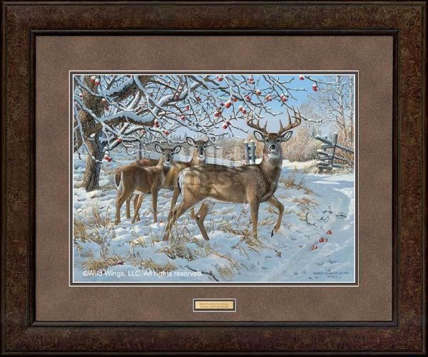 November Snowfall—Whitetail - GNA Premium Print on Sale