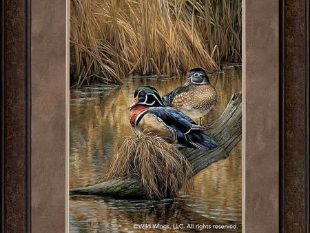 Backwaters—Wood Ducks - GNA Premium Print For Sale