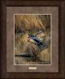 Backwaters—Wood Ducks - GNA Premium Print For Sale