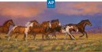 Unbroken—Horses; Artist Proof Edition (AP) Hot on Sale