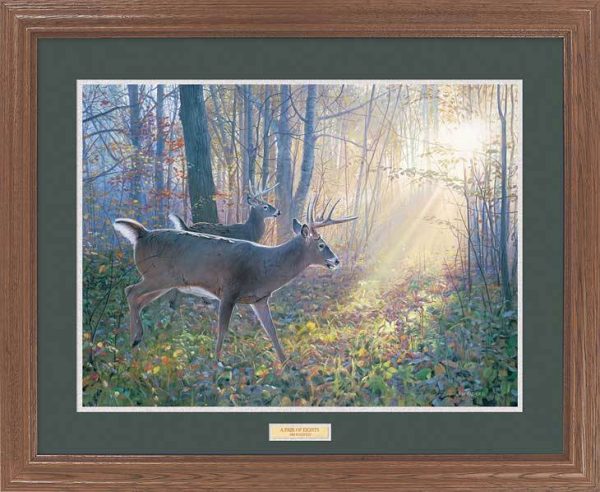 A Pair of Eights—Whitetails - GNA Premium Print For Sale