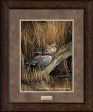 Backwaters—Green—Winged Teal - GNA Premium Print For Sale