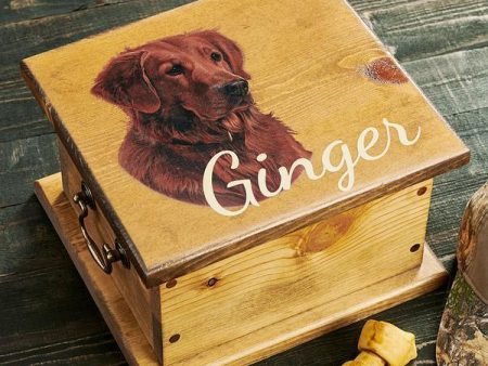 Golden Retriever Sporting Dog Online Hot Sale