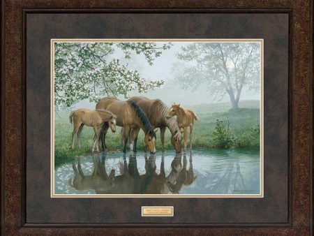 Sweet Spring—Horses - GNA Premium Print Discount