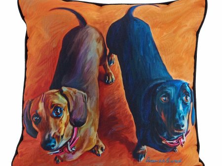 Darling Dachshund—Two Dachshunds For Sale