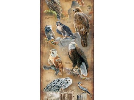 Common Raptors of North America Sale