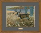 Battle Field-Whitetail Deer - GNA Premium Print Online now