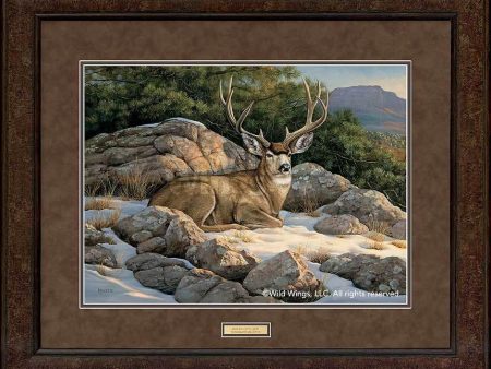 Rocky Outcrop—Mule Deer - GNA Premium Print For Discount