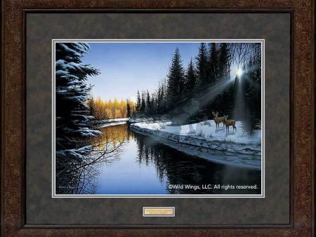 An Evening In Wisconsin - Whitetail Deer AKA An Evening Along the River - GNA Premium Print For Discount