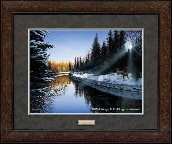 An Evening In Wisconsin - Whitetail Deer AKA An Evening Along the River - GNA Premium Print For Discount