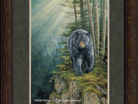 Rocky Outcrop—Black Bear - GNA Premium Print on Sale