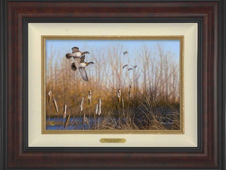 Return Among the Cattails—Wood Ducks; Standard Numbered Edition (SN) on Sale