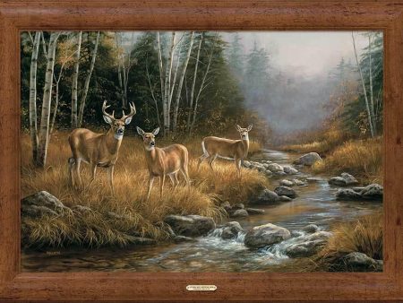 October Mist—Whitetail Deer Hot on Sale