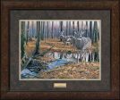 After the Rain—Whitetail Deer - GNA Premium Print For Discount