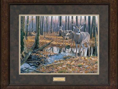 After the Rain—Whitetail Deer - GNA Premium Print For Discount