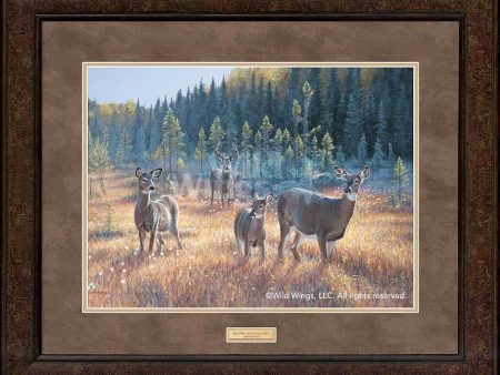 Bog Trek—Whitetail Deer - GNA Premium Print Supply