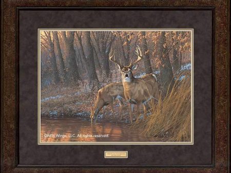 Woodland Waterhole—Deer - GNA Premium Print Discount